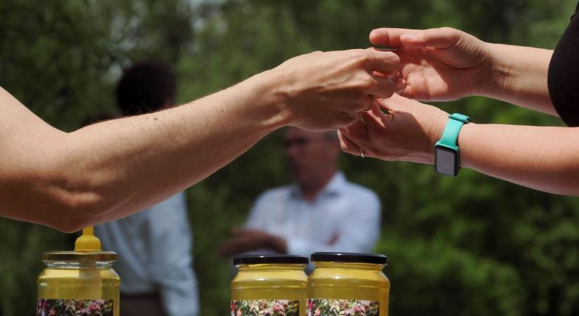 Hosszúasztal Piknik 2025 – újra együtt a Veszprémvölgyben