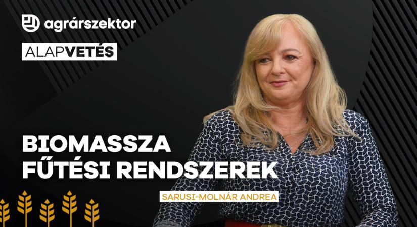 Kevésbé ismert ez a fűtési rendszer, pedig pillanatok alatt megtérül a befektetés
