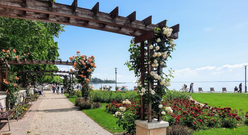 A Balaton virágba borult szíve: Rózsakert Balatonfüreden