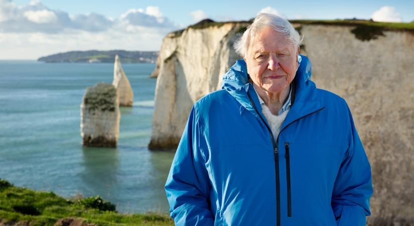 David Attenborough óceánokról szóló filmje június 14-én debütál a National Geographic csatornán