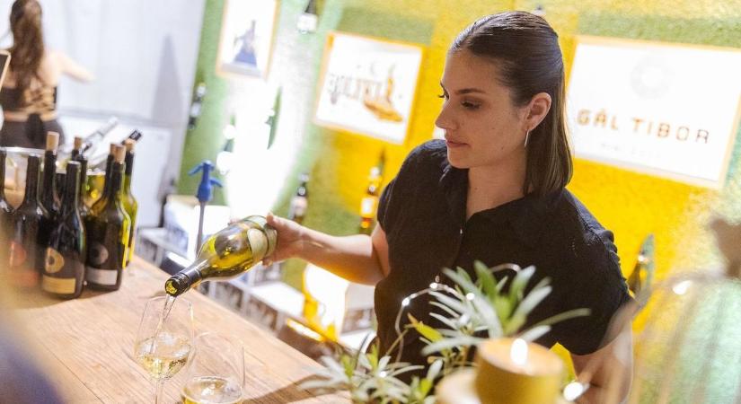 Elefánt és Honeybeast - pár név azok közül, akik jönnek az Egri Bor Ünnepére