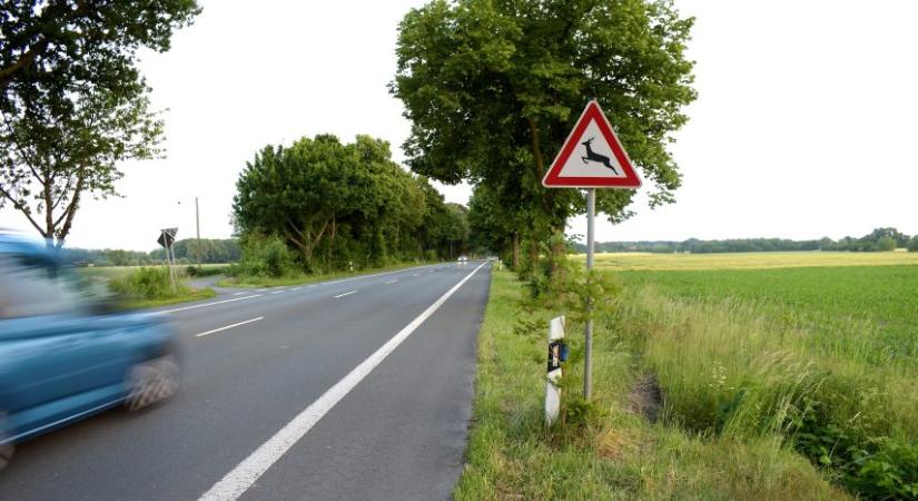 Különleges képek az elmúlásról és a felelősségünkről