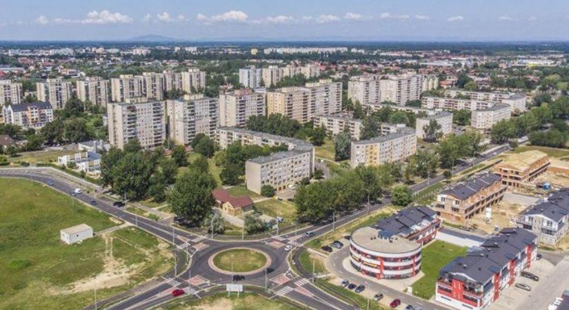 Csapdába esett, majd kiszabadult a vadállat a nyíregyházi lakótelepen – még éppen sikerült lefotózni