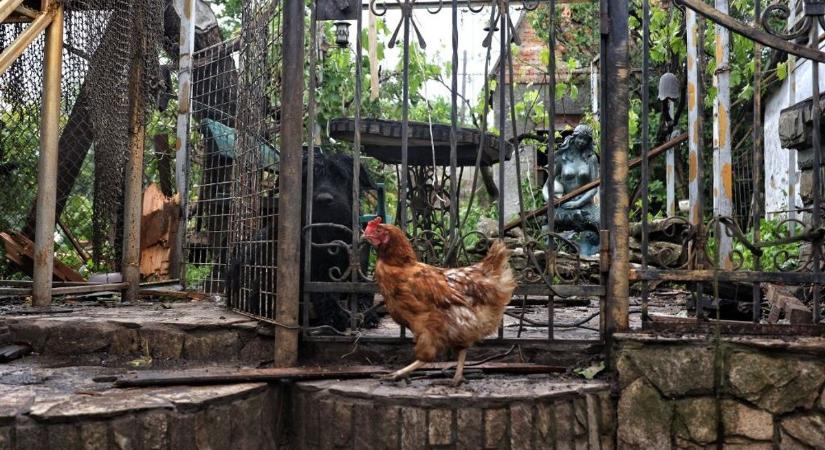 Hazánk kitartó ellenállása végre célt ért, Brüsszel elismerte a tévedését