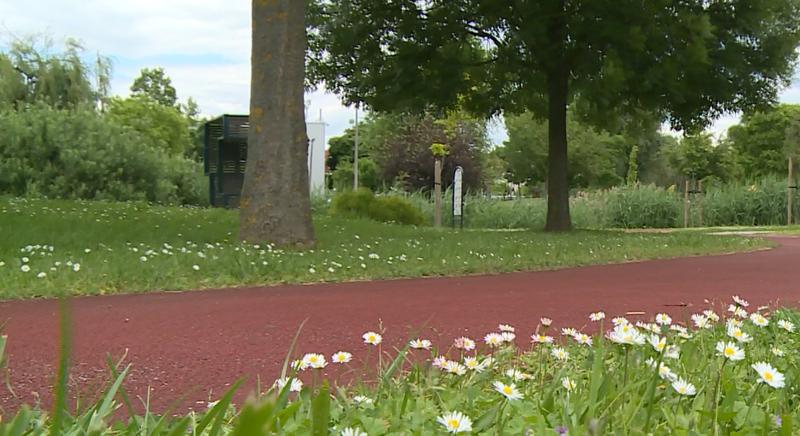 Kaposvárra érkezik a Sportoló Nemzet Roadshow