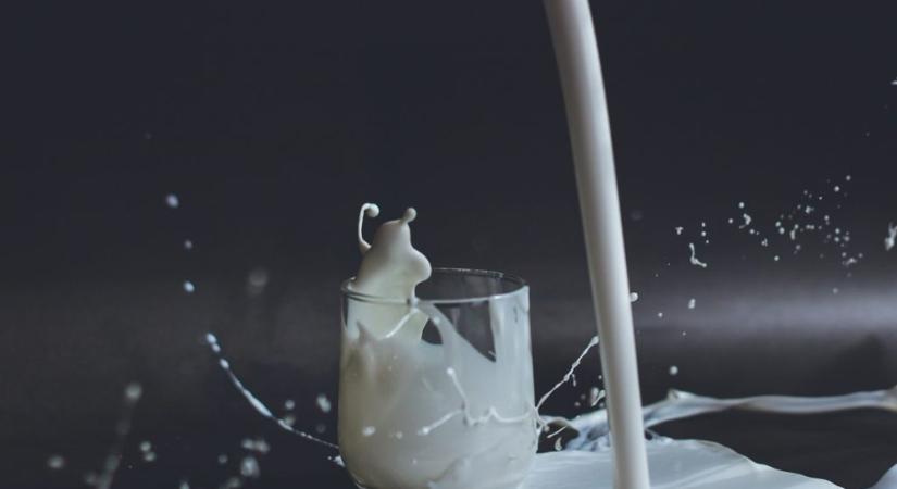 Miért fontos a tej és tejtermékek fogyasztása az egészséges táplálkozásban?