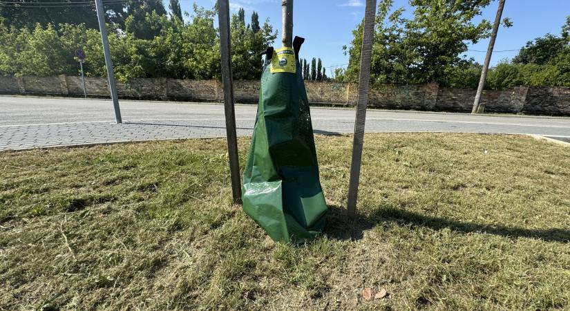 Öntözőzsákokat helyeztek ki Esztergomban