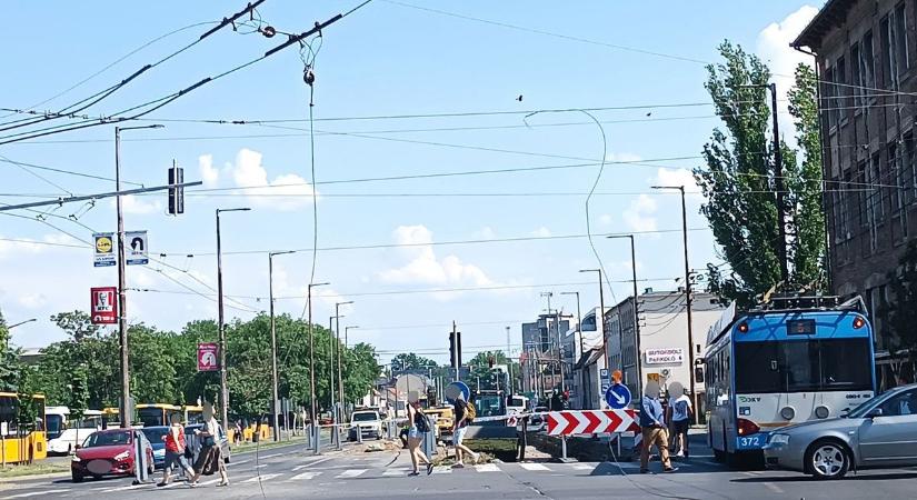 Figyelem! Leszakadt a felsővezeték egy forgalmas debreceni szakaszon!