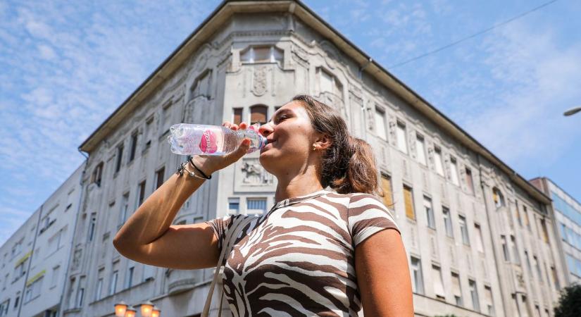 Hőség: felejtse el a zsíros ételt és az alkoholt