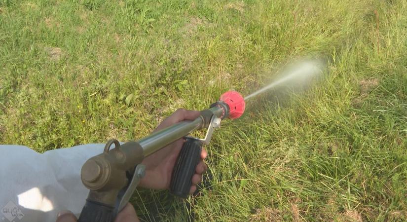 Már „figyelik” a szúnyogokat