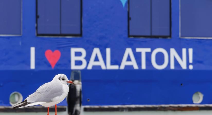 Így nyaralnak a 2025-ös magyarok: szállás- és fesztiváltrendek a Balatonnál