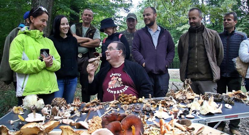Szigorítják az ellenőrzést – Csak okosan szedjük a gombát!