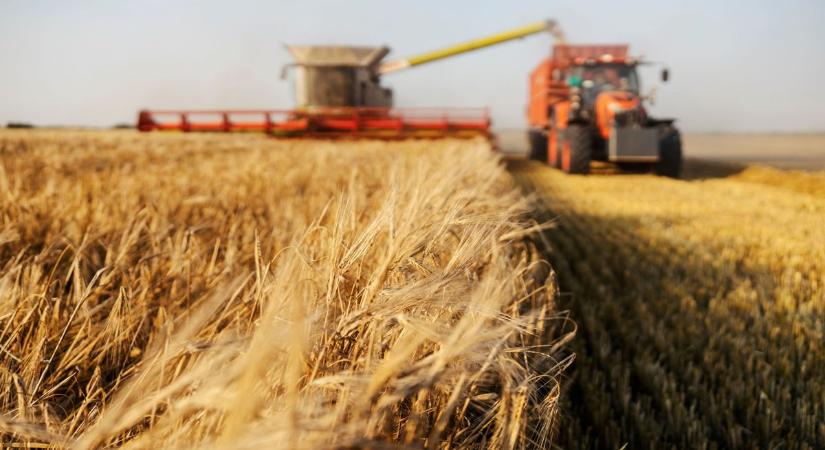 Ukrajnában nem igazán tudják, hol és mennyi GMO növényt termesztenek a gazdálkodók