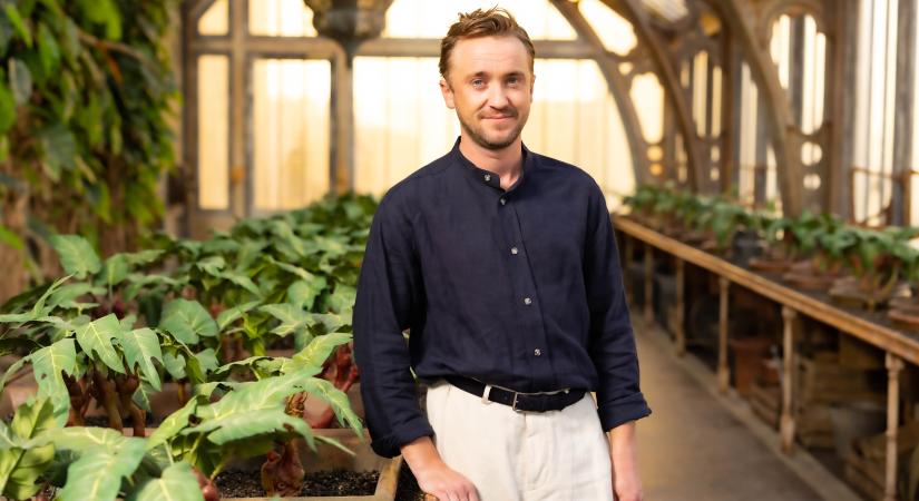 "Izgalmas kihívás áll előttem" – Tom Felton 16 év után újra Draco Malfoy bőrébe bújik