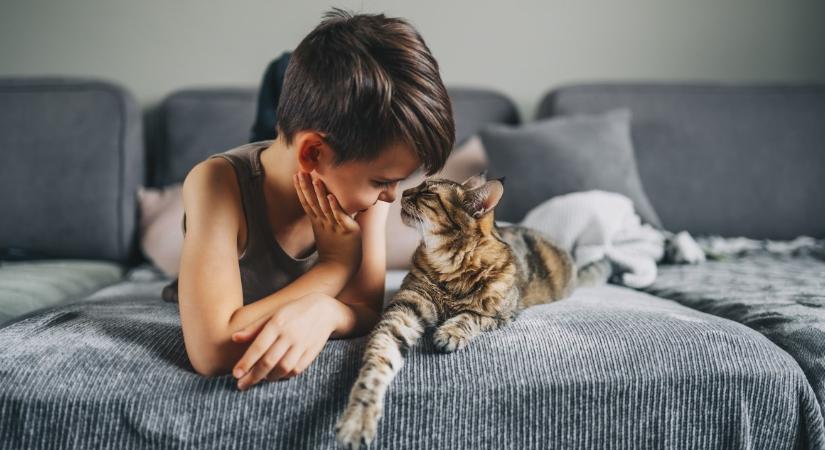 Kvíz: tudod, melyik a világ legnehezebb szárazföldi állata?