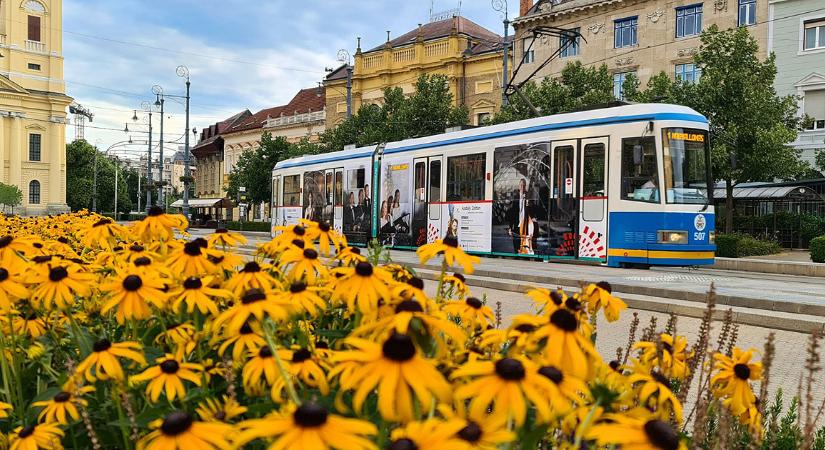 Így alakul a DKV-menetrend a hosszú hétvégén