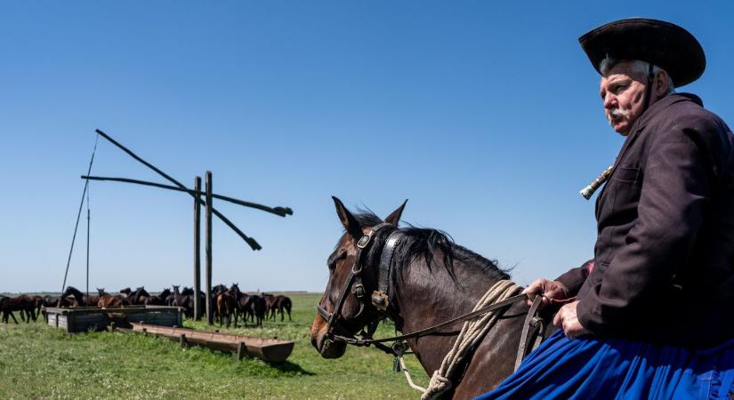 A puszta újraéled: lenyűgöző fotókon a hortobágyi kihajtás