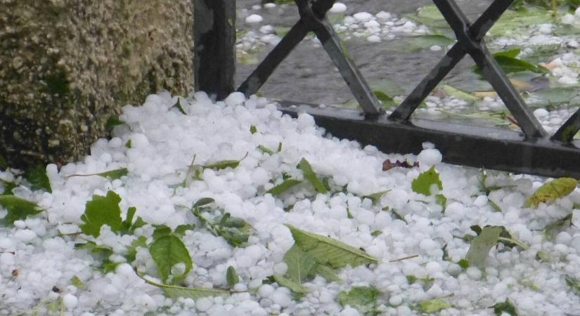 Nyári viharok a láthatáron – mentse meg a kertet!