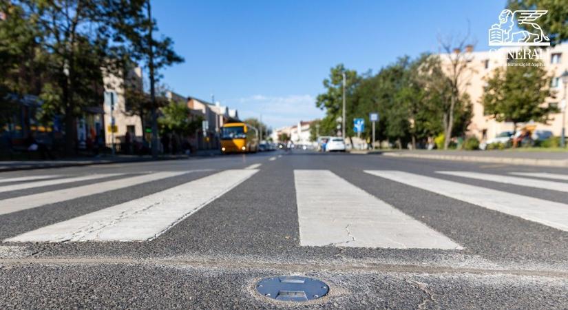 Okoszebra épülhet egy alapítvány támogatásával Fejérben is