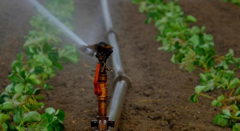 Kevesebb víz, okosabb technológia: így észszerűsíthető az öntözés