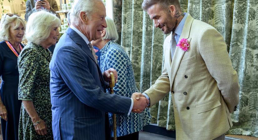 Méhek hozták össze David Beckham lovagi címét – Hosszú várakozás után teljesül a vágya