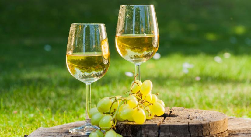Itt az Agro Napló legfrissebb különszáma: ez sokaknak hasznos lehet