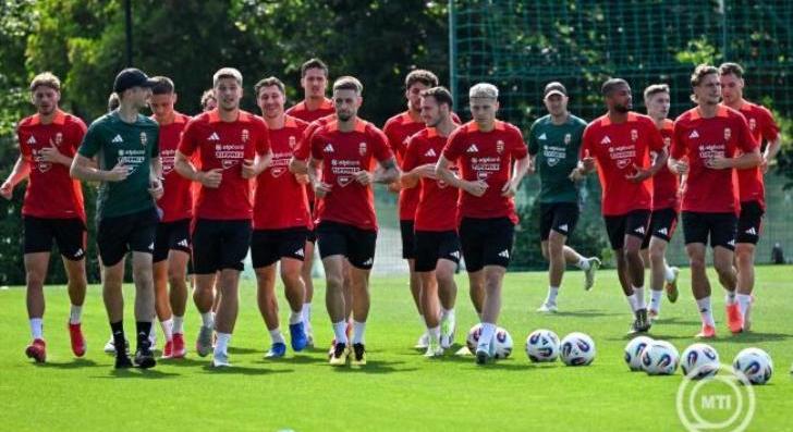 Magyarország-Svédország: 1. perc: 0:0