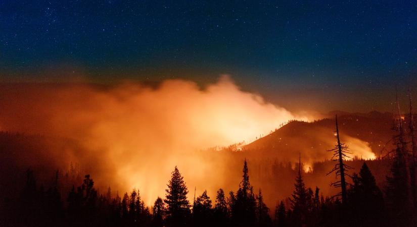 Nem csak a déli országok problémája, az erdőtüzek térségünket is fenyegetik