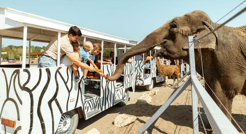 Egyetlen este ingyenesen látogatható a Richter Safari Park