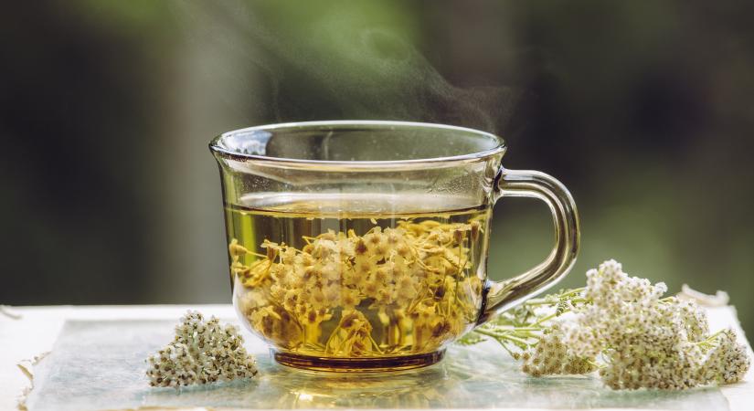 A cickafarktea veszélyei: mellékhatásokat okozhat a népszerű gyógynövény
