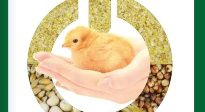 Egy csippantás a jóból – tudd meg, mi ez!