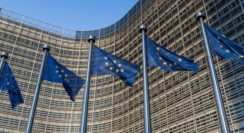 Az Európai Unió pozitívan értékelte, hogy az Országgyűlés elhalasztja az úgynevezett átláthatósági törvényt