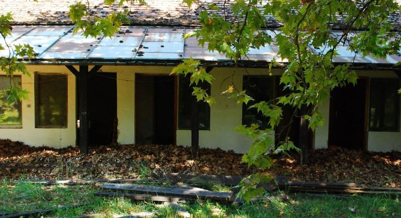 Egykor gyerekzsivajtól volt hangos, majd elfeledték – egy balatoni kemping szomorú sorsa megdöbbentő fotókon
