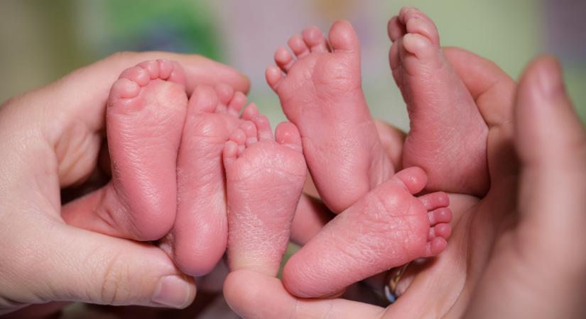Miskolci hármas ikrek: Liza, Maja és Veronika jól vannak