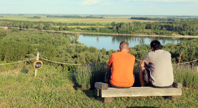Egy csöppnyi Provence: a dunai panoráma teszi teljessé a különleges levendulaszüretet
