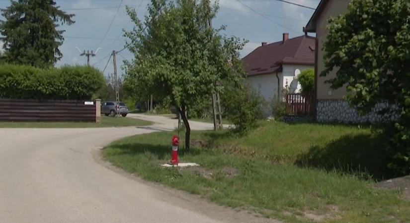 Figyelmeztető lövés vagy kivégzés? – számszeríjjal lőttek rá
