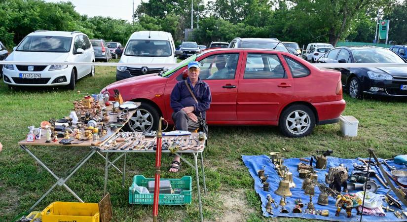 Százezer forintért kapható elefánt a szegedi piacon, de nem ez az egyetlen meglepetés – galériával
