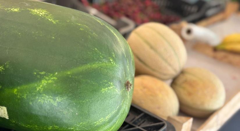 Ennyibe kerül a frissen érkezett görögdinnye a piacon