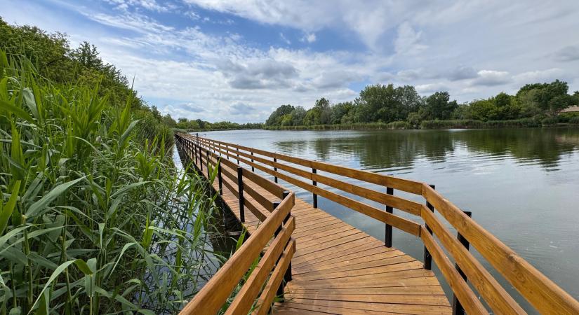 Barangolás a rejtélyes Tiszazugban, a Cibakházi Holt-Tiszán