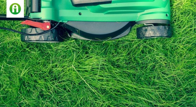 Fűnyesedék a kertben – Így hasznosítsd okosan!