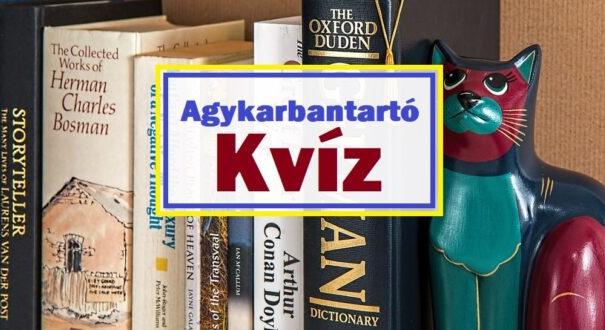 Agykarbantartó kvíz: Megbirkózol ezekkel az érdekes feladványokkal? (599)