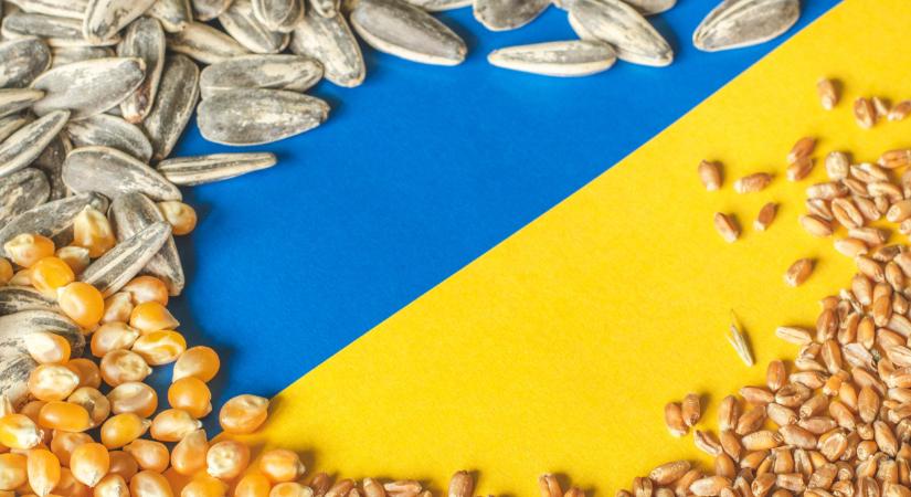 Visszatértek az ukrán gabonára vonatkozó kvóták: átalakulha a gabonapiac?