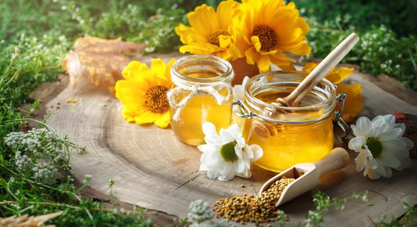 Marketingfogás, vagy csoda? Minden, amit a legerősebb superfoodokról tudnod kell