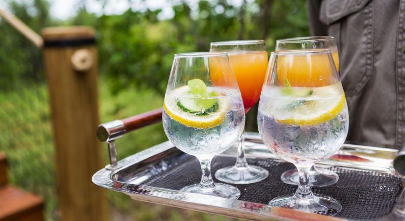 Jól fogy a gin – a borókabogyó-alapú ital folyamatosan gyűjti hódolóit