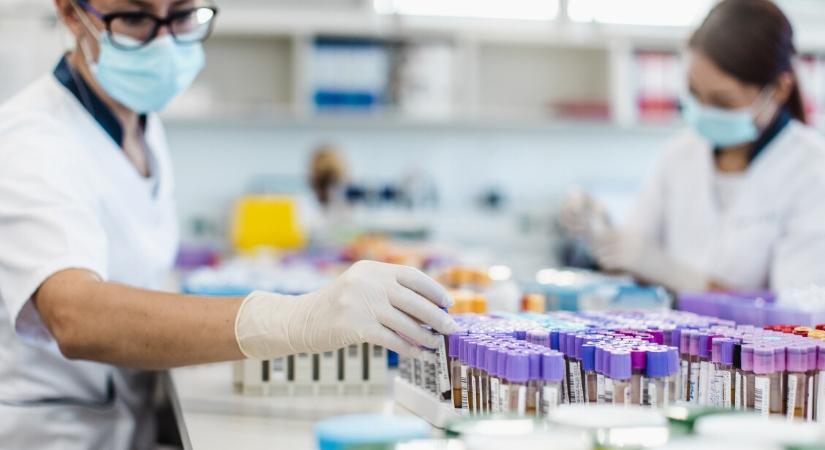 Kreatinin a laborleleten: mit jelent a magas érték?