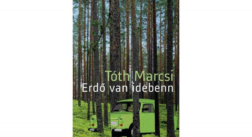 Tóth Marcsi: Húzz egy kártyát (Részlet az Erdő van idebenn című kötetből)