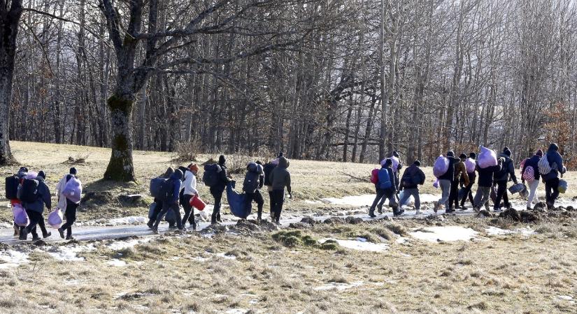 Civilek szerint továbbra is illegálisan kényszerítik vissza Szerbiába a migránsokat