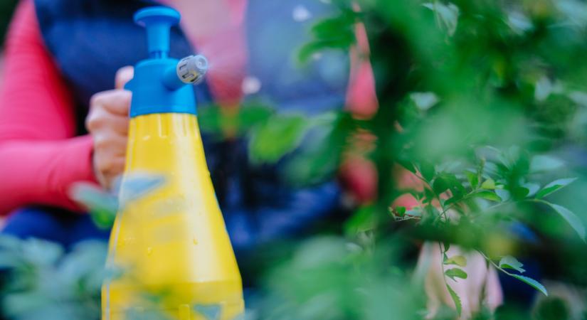 Ingyen csodaszer a kertedbe: így turbózd fel a növényeidet sztárkertész tippjével