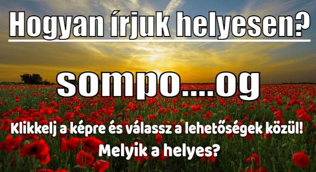 Napi helyesírás feladat: Tudod hogyan írjuk helyesen?
