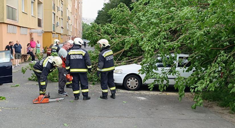 Derült égből villámcsapás: autókra dőltek fák a szélviharban